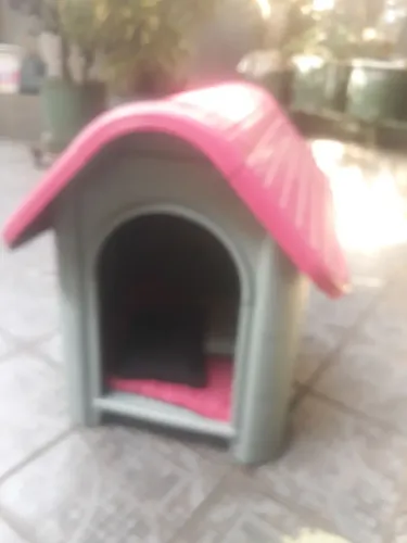 Casinha de plástico para cachorro
