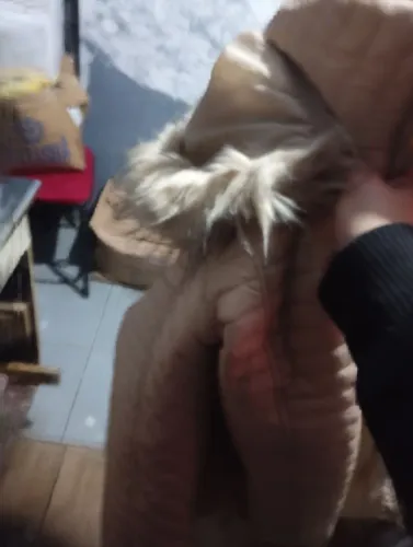Vendo casaco cm touca peluciada