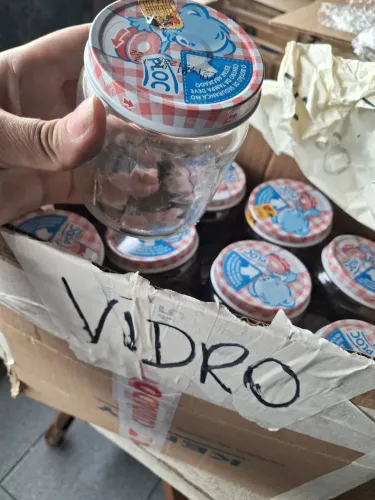 Pote de papinha nestle 250ml