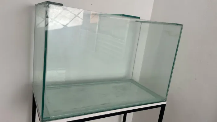 Aquario