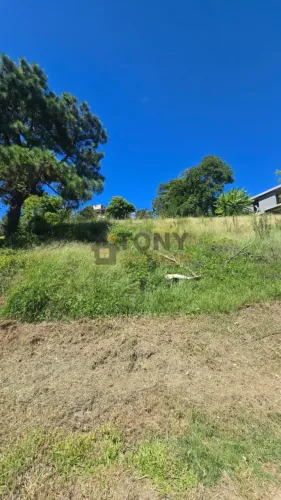 Terreno de 1685m2 à venda no Bosque das Mansões - São José - SC.