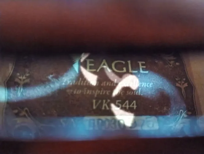 Violino Eagle VK544