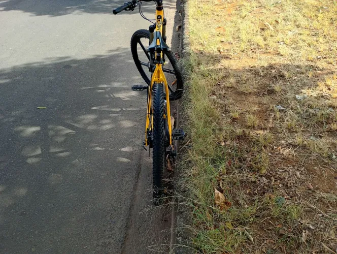 Bicicleta