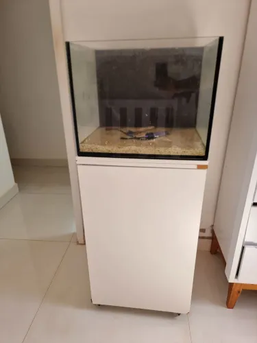 Aquario marinho 