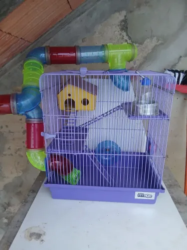 Gaiola para ramister