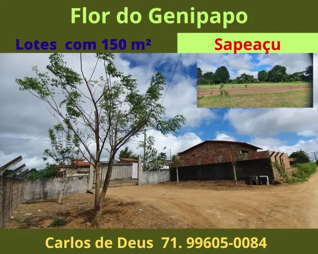 Loteamento Flor do Genipapo, Lotes com 150 m², em até 32 vezes, em Sapeaçu, excelente loca