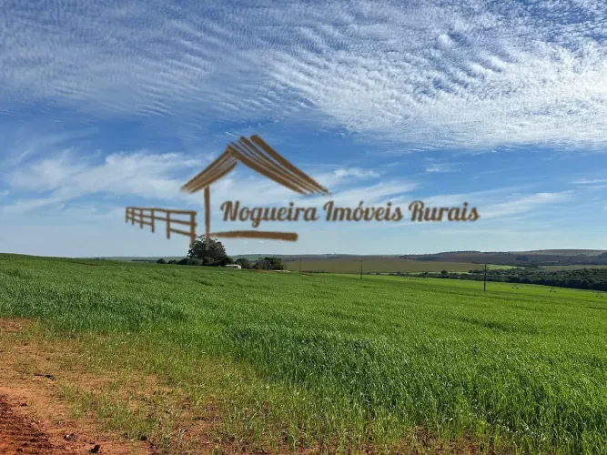 Fazenda à venda com 87 alqueires na região de Paranapanema-SP