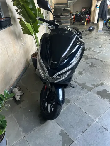 Honda pcx