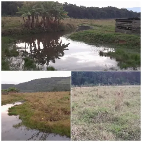 TERRENO RURAL - TIMBÉ DO SUL - SC 