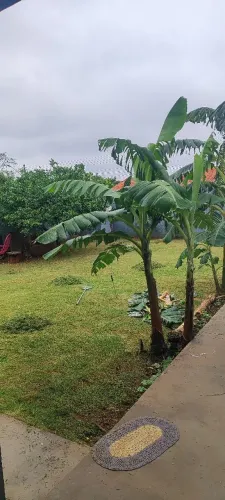 Corte de Grama, Roçagem e Limpeza de Quintal - Preço Justo
