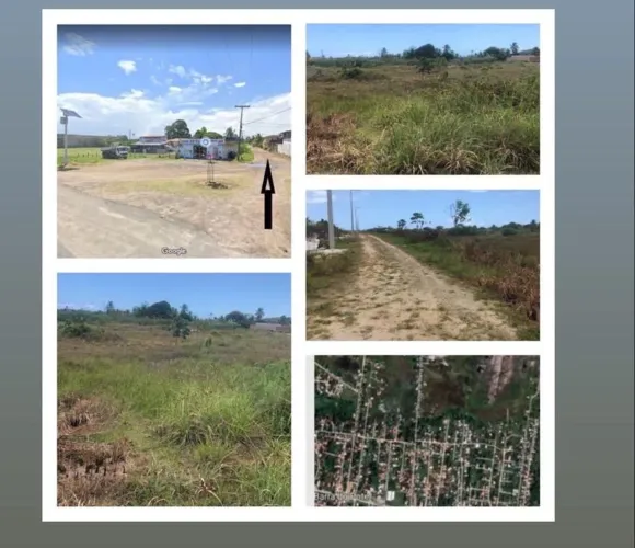 ? TERRENOS À VENDA - ILHA DE BARRA DO POTE ?