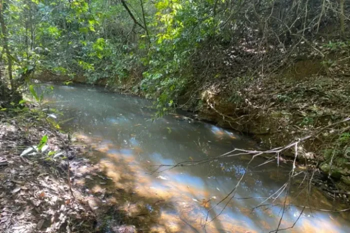 Baixadão de 15 hectares, com casa antiga, córrego nos fundos, Serra do Cipó.
