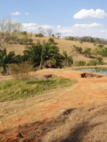 Fazenda 275 alq. Em Morrinhos Goiás, 200 formados 220.000 por alq.