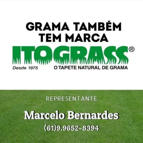 Grama Esmeralda, São Carlos, Batatais em tapetes 