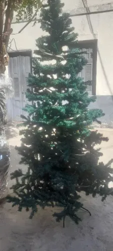 Arvore de natal