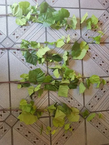 Parreira De Uva Artificial (1 Par)