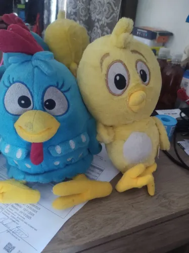 Galinha pintadinha e pintinho 