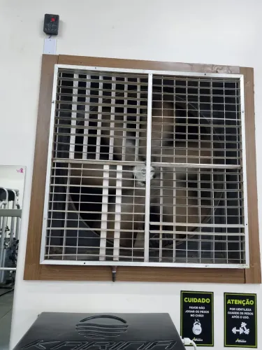 Climatizador Industrial Potente - Ideal para Ambientes Amplos de até 400m