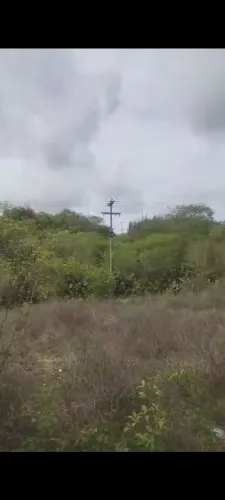 Sitio as margens da Br 230 em Pocinhos
