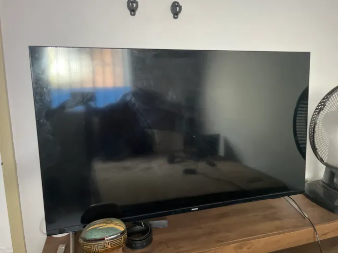 TV Philips 50 polegadas. (Sem Imagem)
