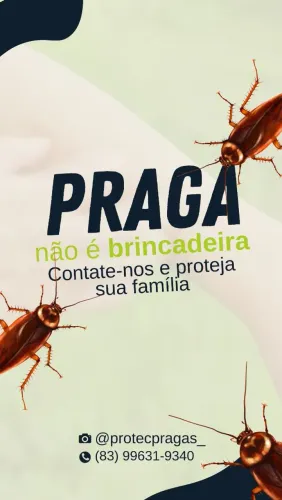 Dedetização comercial e residencial