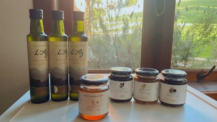 Mel da flor de oliveira