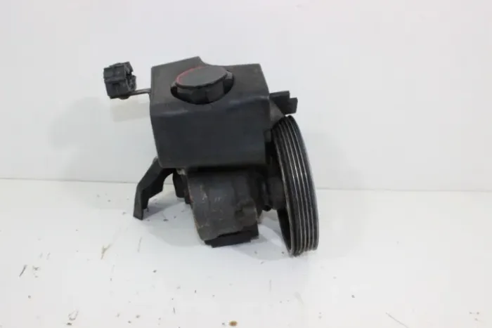 Bomba Direção Hidraulica Peugeot 206 207 Citroen C3 Aircross