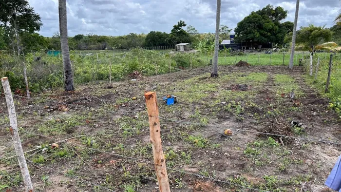 TERRENO BEM LOCALIZADO EM LAGOA REDONDA