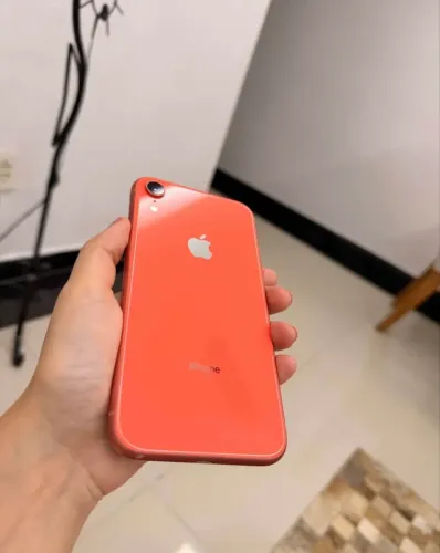 iPhone XR