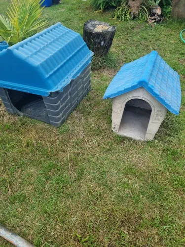 Casa de cachorro