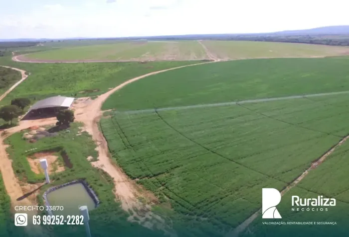 115 ALQUEIRES | 245 HA IRRIGADOS POR PIVÔ | FAZENDA COMPLETA