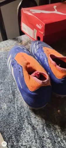 Chuteira Society Adidas predator