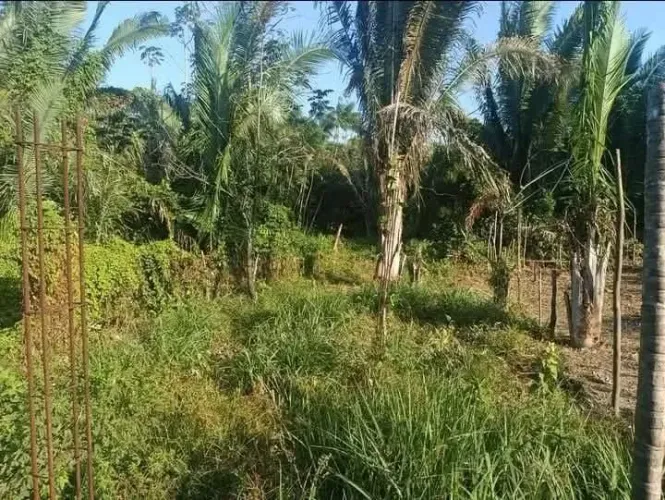 Terreno 6×11m à venda - 66 metros quadrados - Residencial Santa Rosa