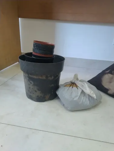 DOAÇÃO vasos de planta + terra