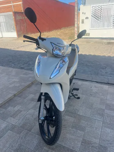 Biz branca