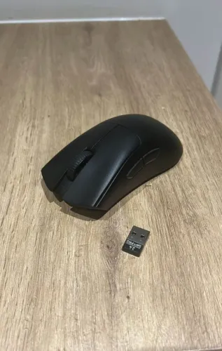 mouse