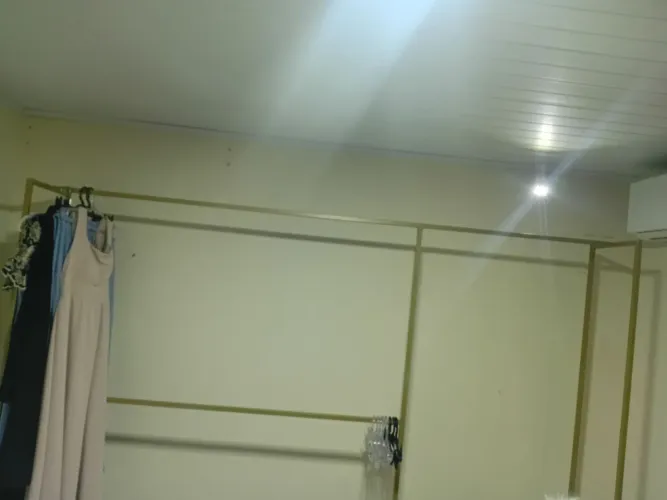 Arara dourada 3 metros