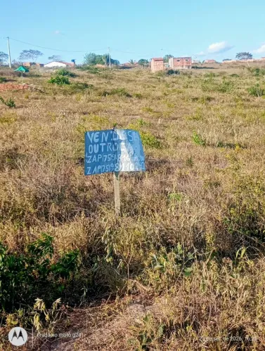 Terreno 