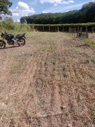 TERRENO À VENDA - SÃO JOSÉ DO RIO PARDO/SP ?