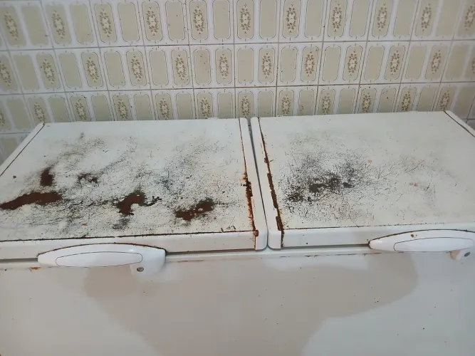 Vende-se freezer duas portas 503 litros