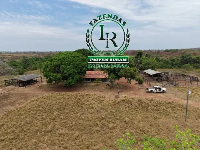 Fazenda Dupla Região de Luzimangues, Área 72 alqueires ou seja 348 Hectares.
