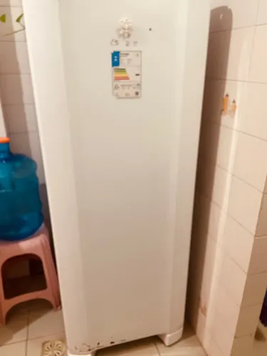Geladeira esmaltec 220v