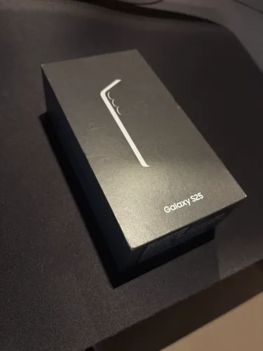 Samsung Galaxy S25 FE 12/256GB Prata (Lacrado)