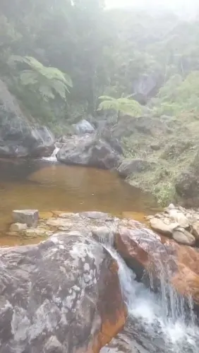 # OPORTUNIDADE ÚNICA - SÍTIO PARADISÍACO NOS TRÊS PICOS - NOVA FRIBURGO - RJ