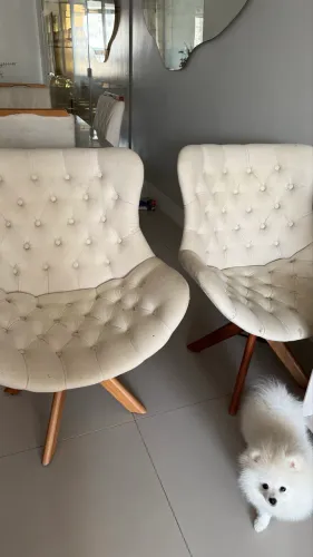Poltronas 