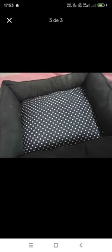 Cama pet grande