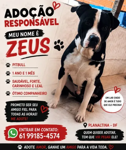 ADOTE O ZEUS 