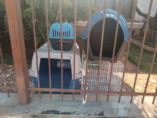 Vendo  caixa de transporte animal 