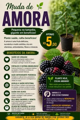 Mudas de Plantas Frutíferas