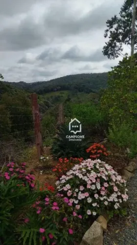 Sítio com 3 dormitórios à venda, 1250 m² por R$ 290.000,00 - Piedade - Piedade/SP